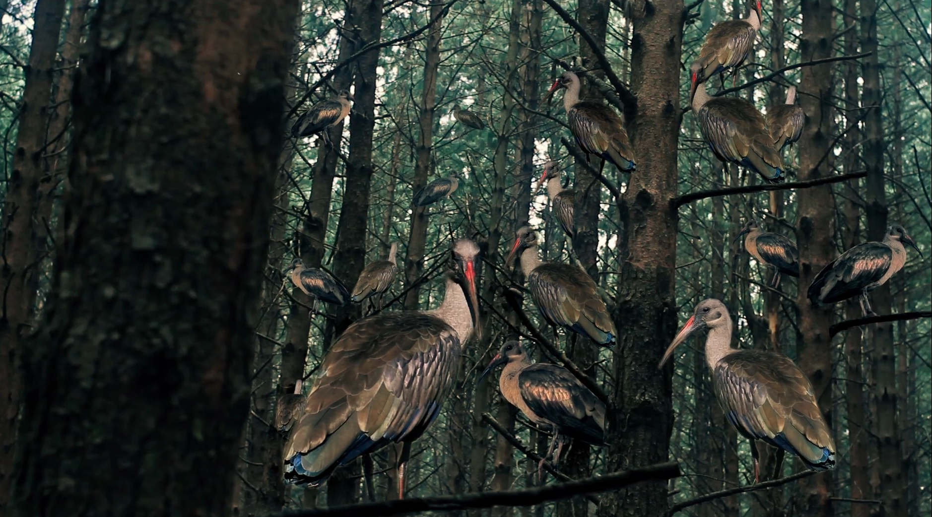 still 10