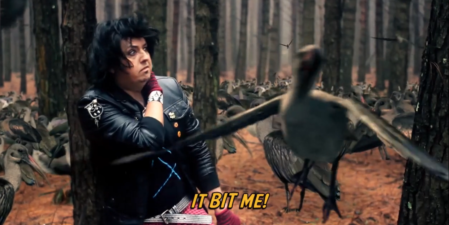 still 6