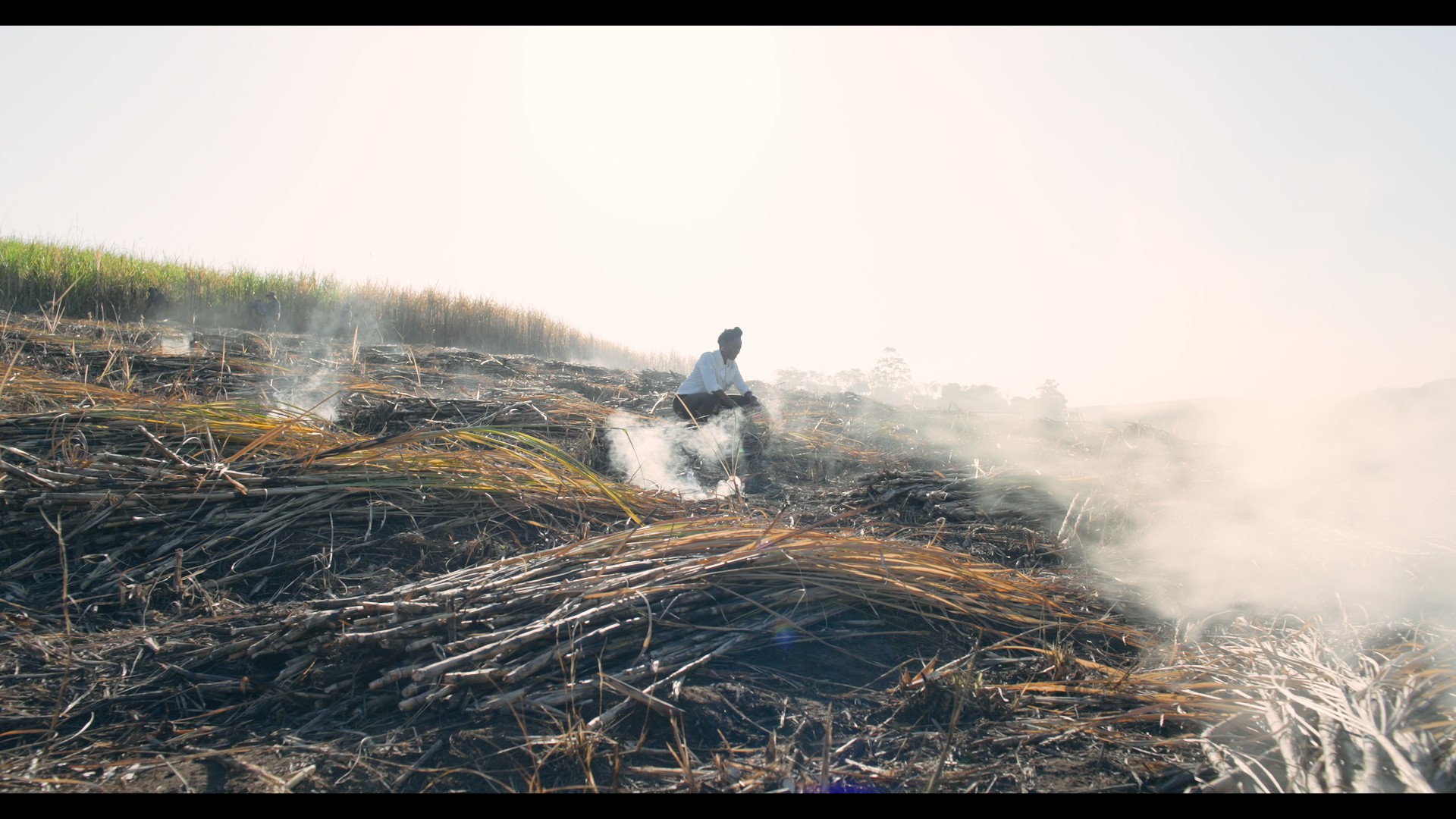 still 1