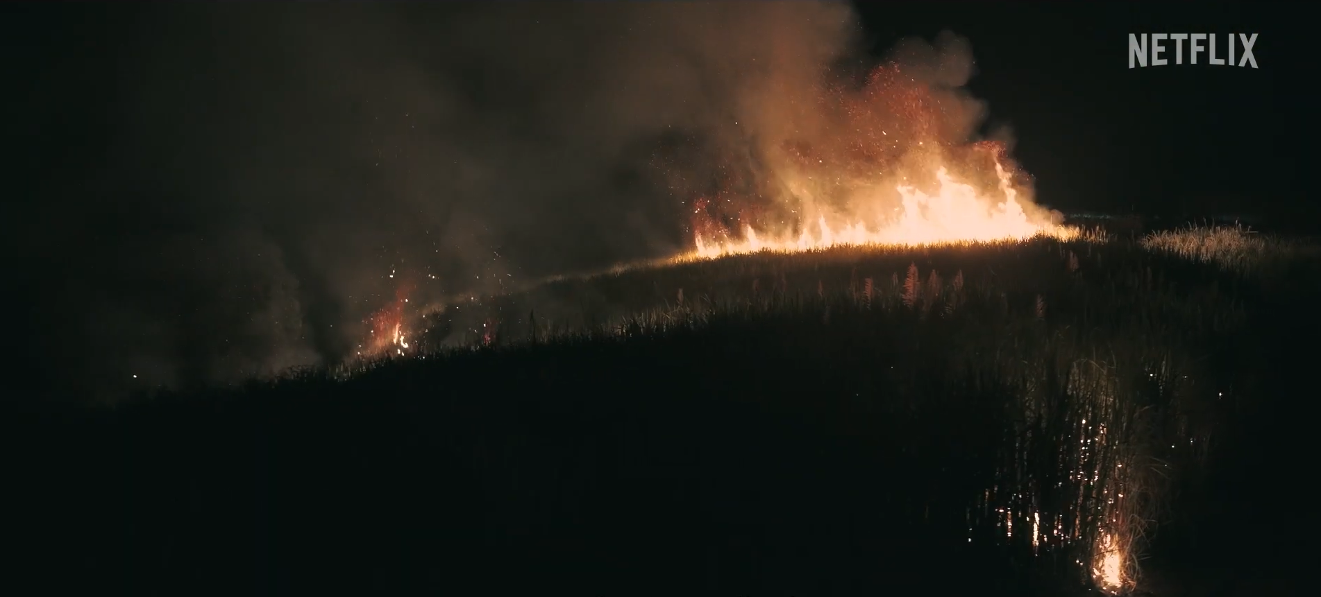 still 6