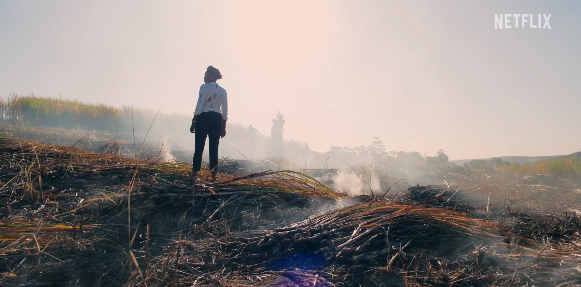 still 7