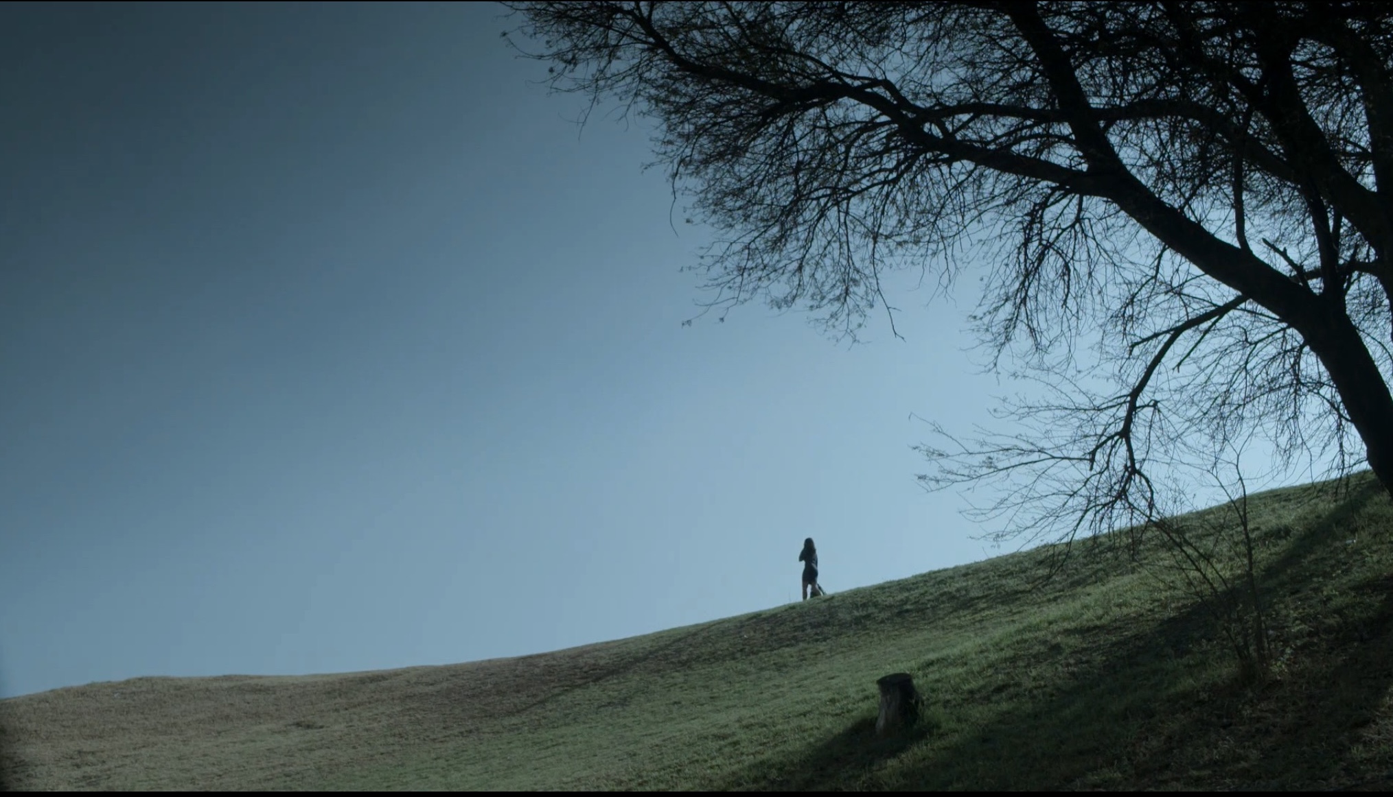 still 1