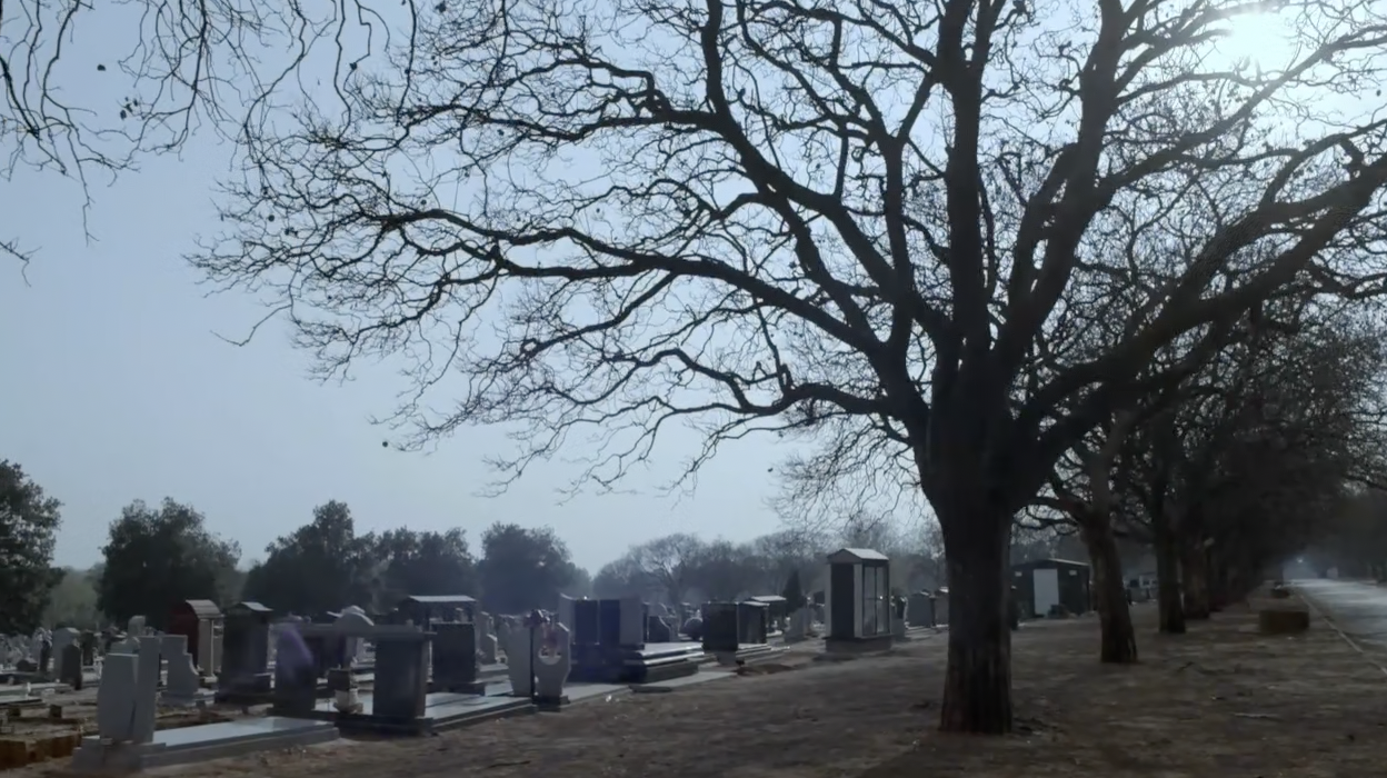still 2