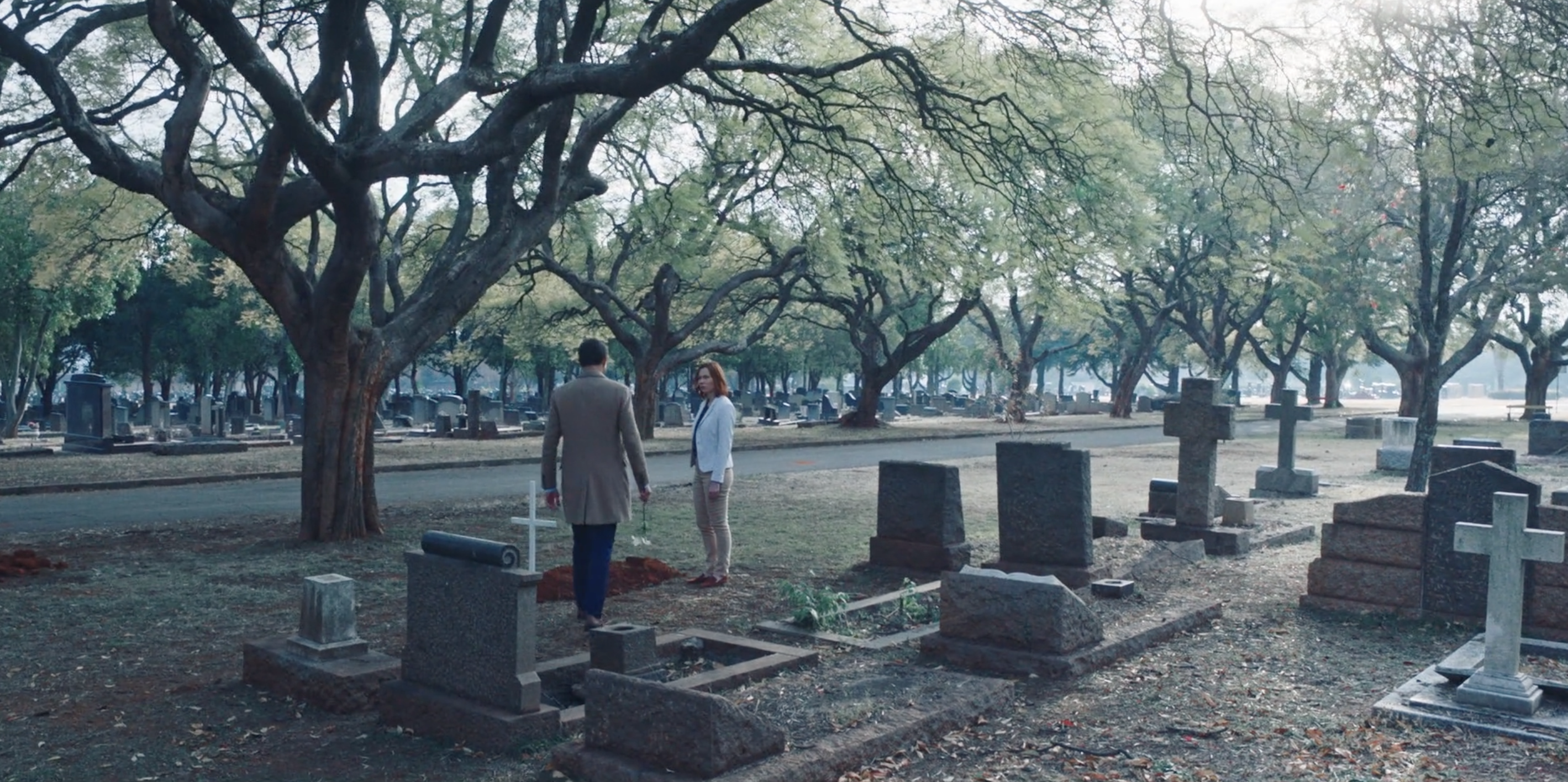 still 6